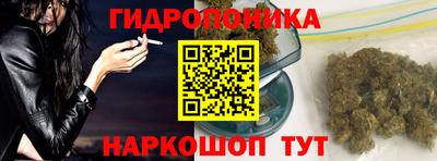 крисы Ливны