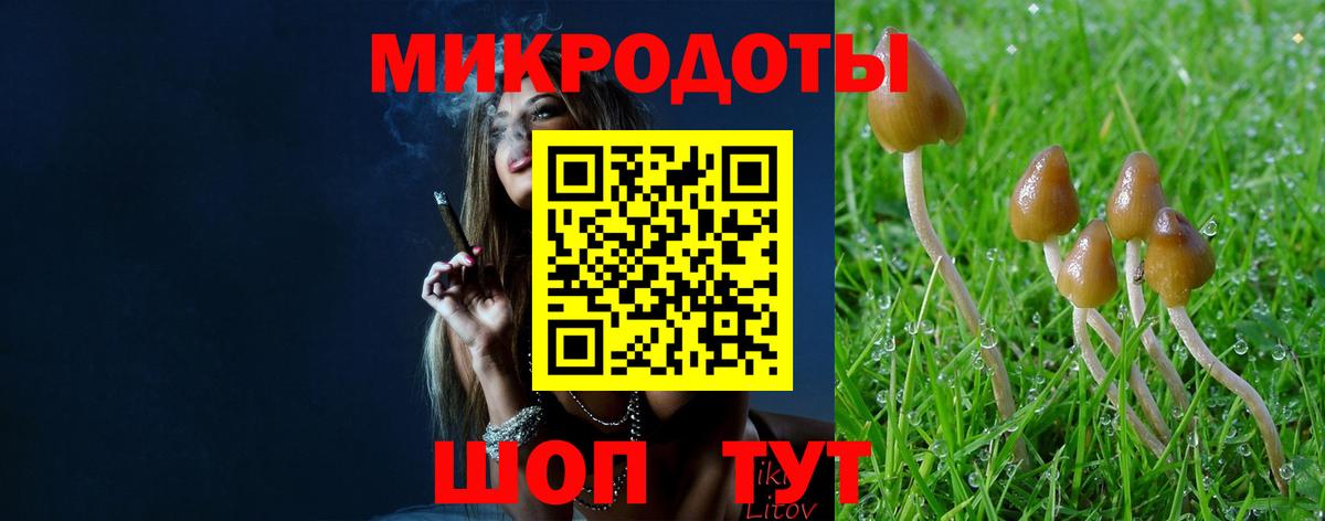Галлюциногенные грибы GOLDEN TEACHER Гулькевичи